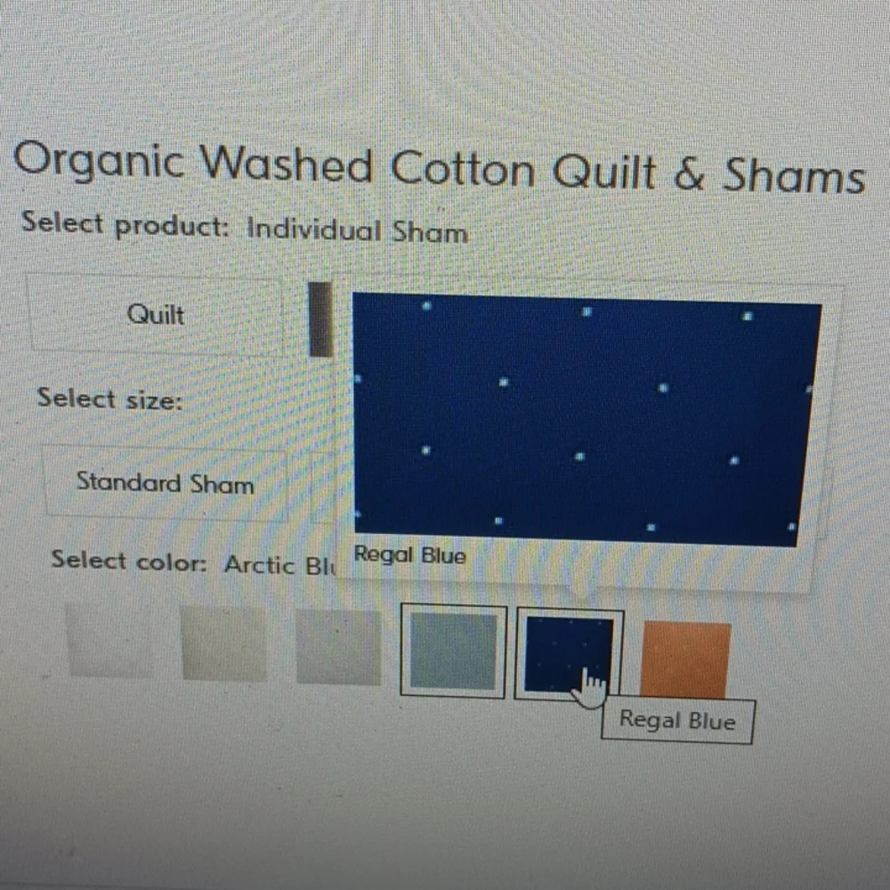 New West Elm organic washed cotton sham retail $45